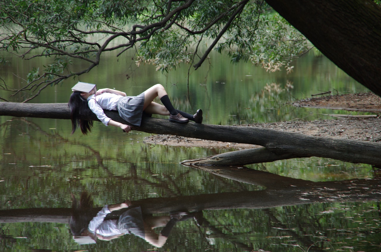 girl reading a book on a tree