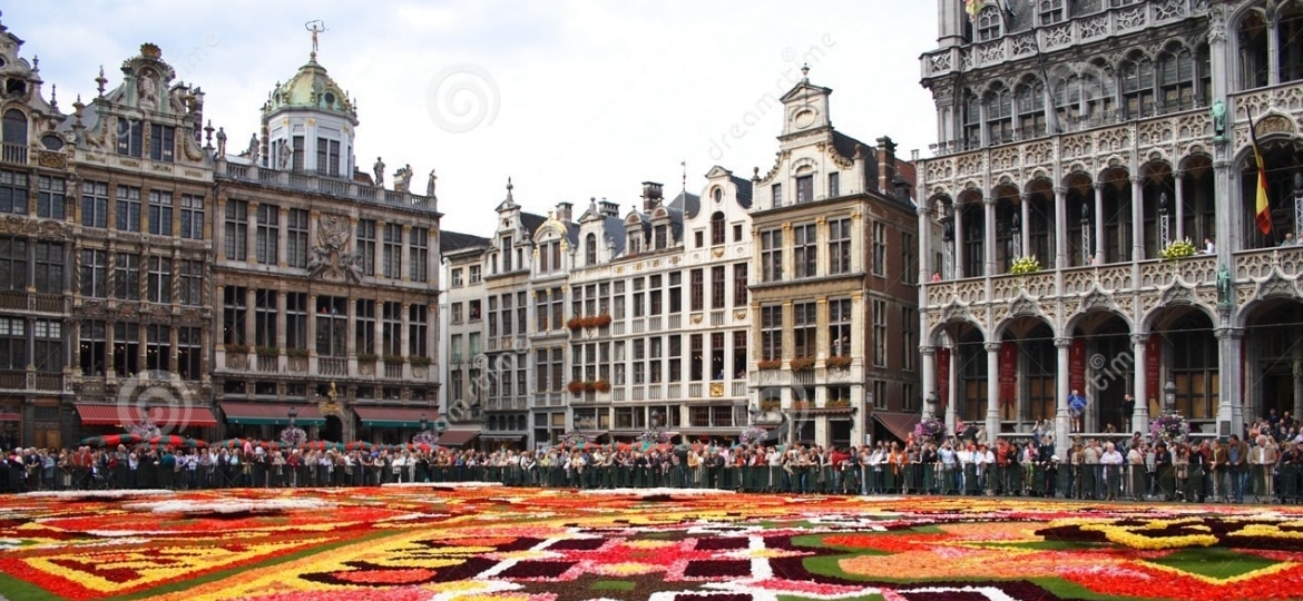 flowers and buildings in Brussels