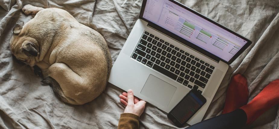ordinateur ouvert posé sur un lit avec à côté un chien allongé