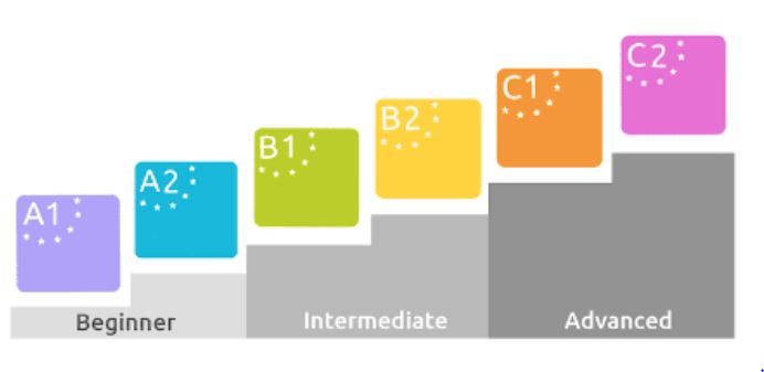 What is the DELF level system?