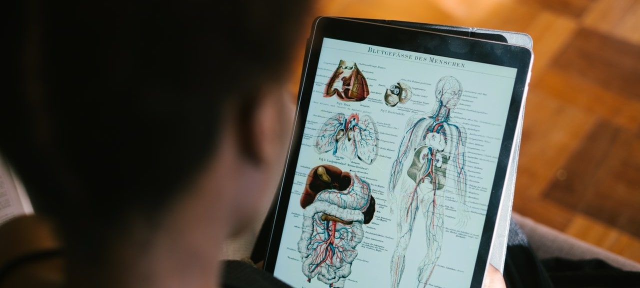 student learning anatomy from a tablet