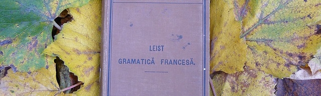 french-grammar-book