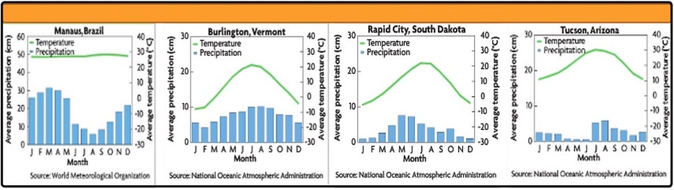 ielts academic reading task 1 graph