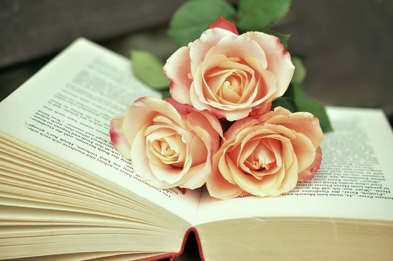 an open book with roses on it