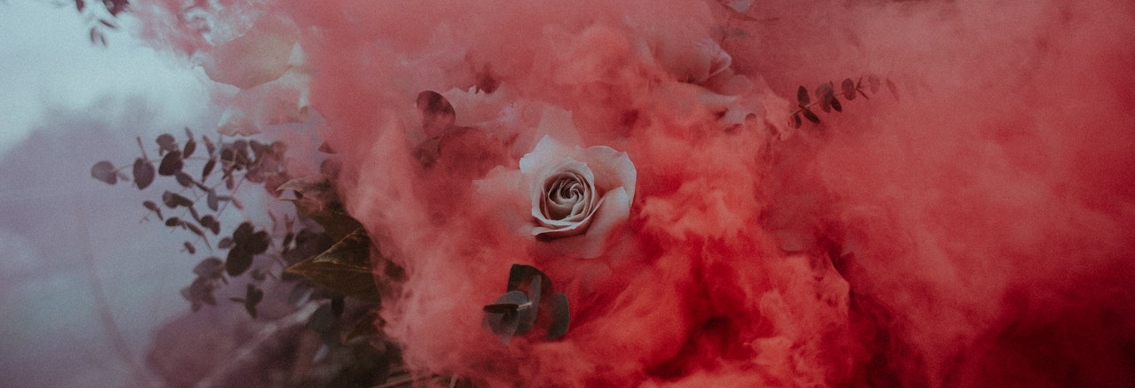 une rose dans de la fumée rouge